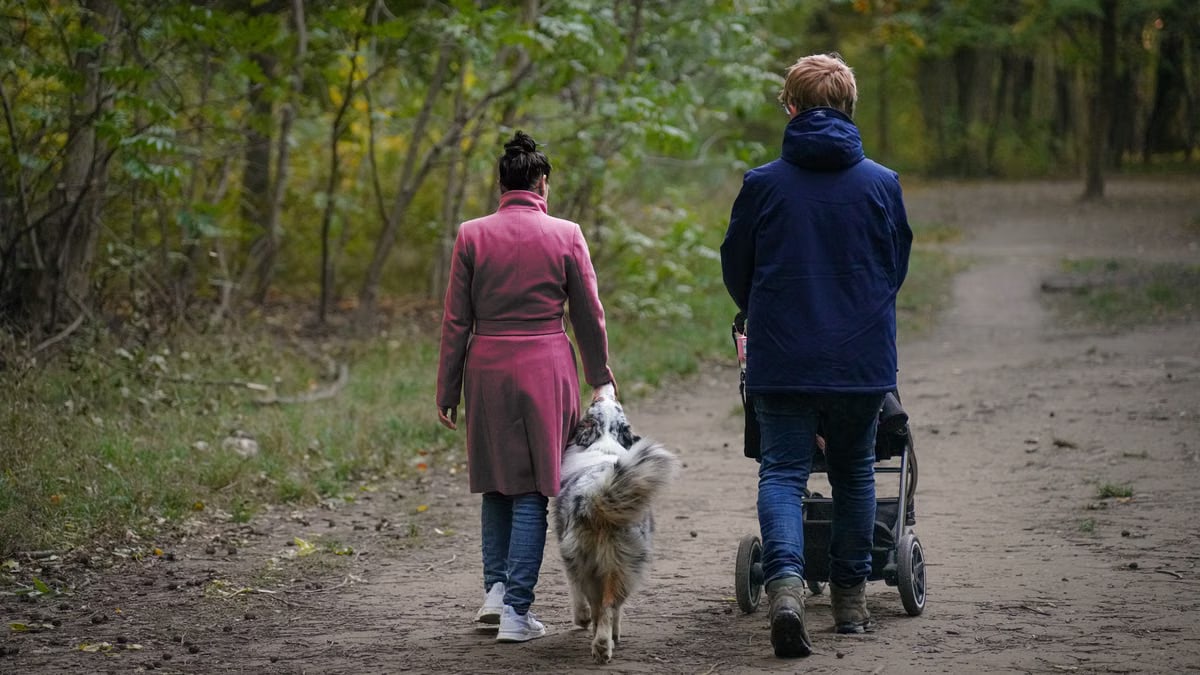 A family enjoys a leisurely walk through a forest path with their dog and stroller.